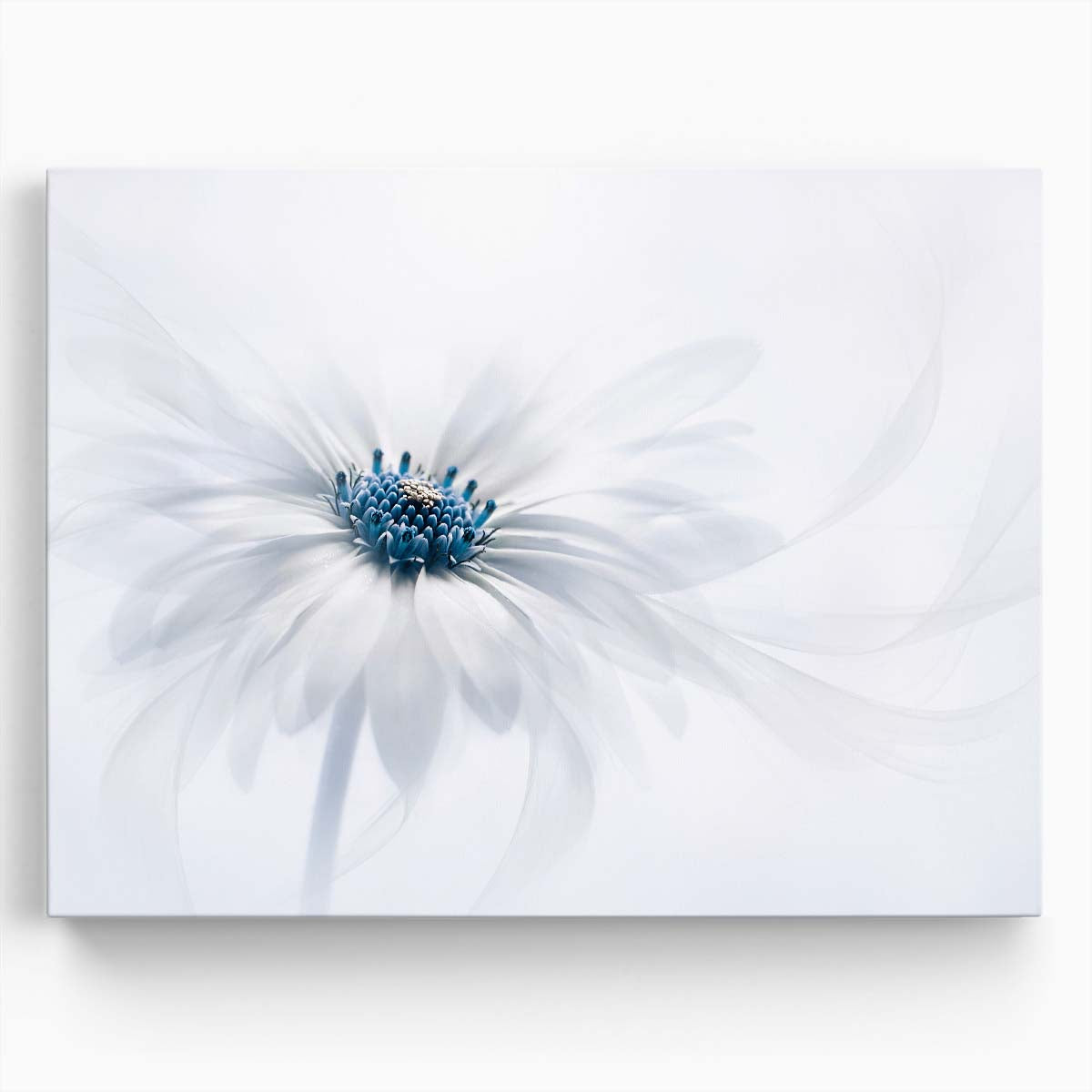 Macro Daisy Blue & White Floral Photography Wall Art by Luxuriance Designs. Made in USA.