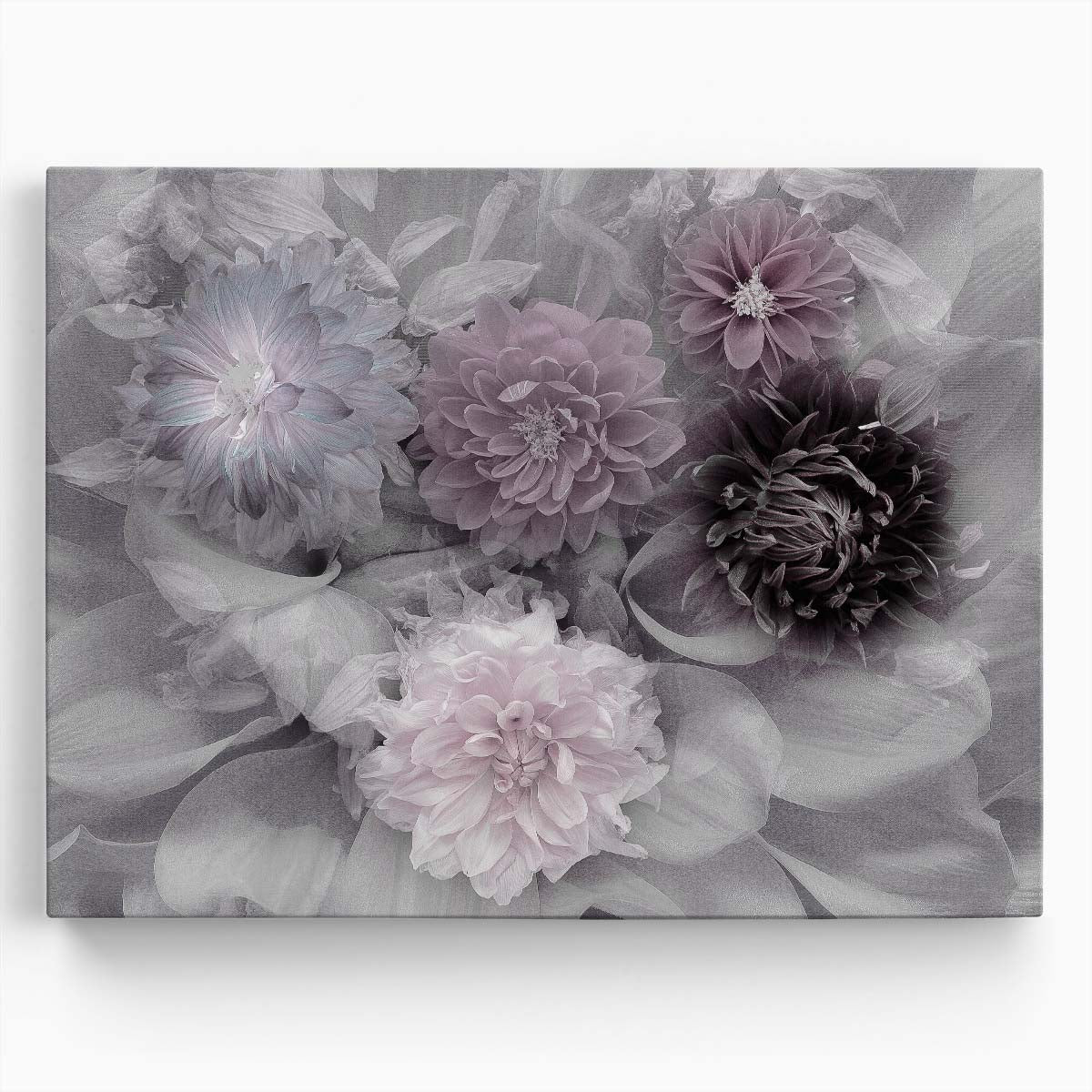 Double Exposure Purple Dahlia Macro Floral Photography Wall Art by Luxuriance Designs. Made in USA.