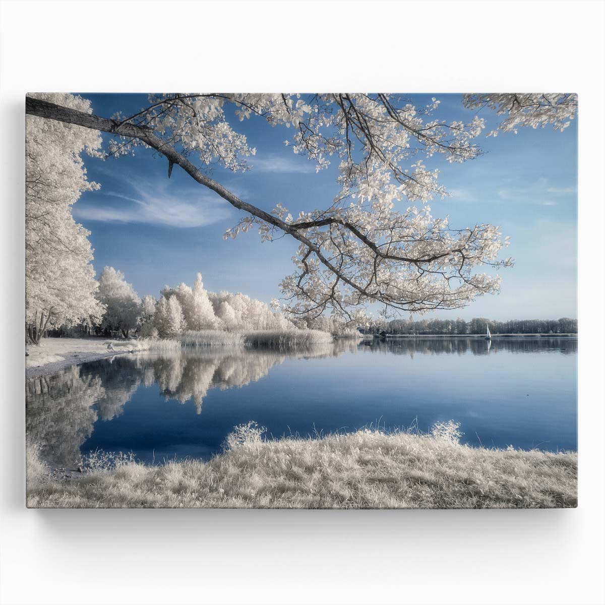 Serene Zdworskie Lake Reflection Wall Art by Luxuriance Designs. Made in USA.