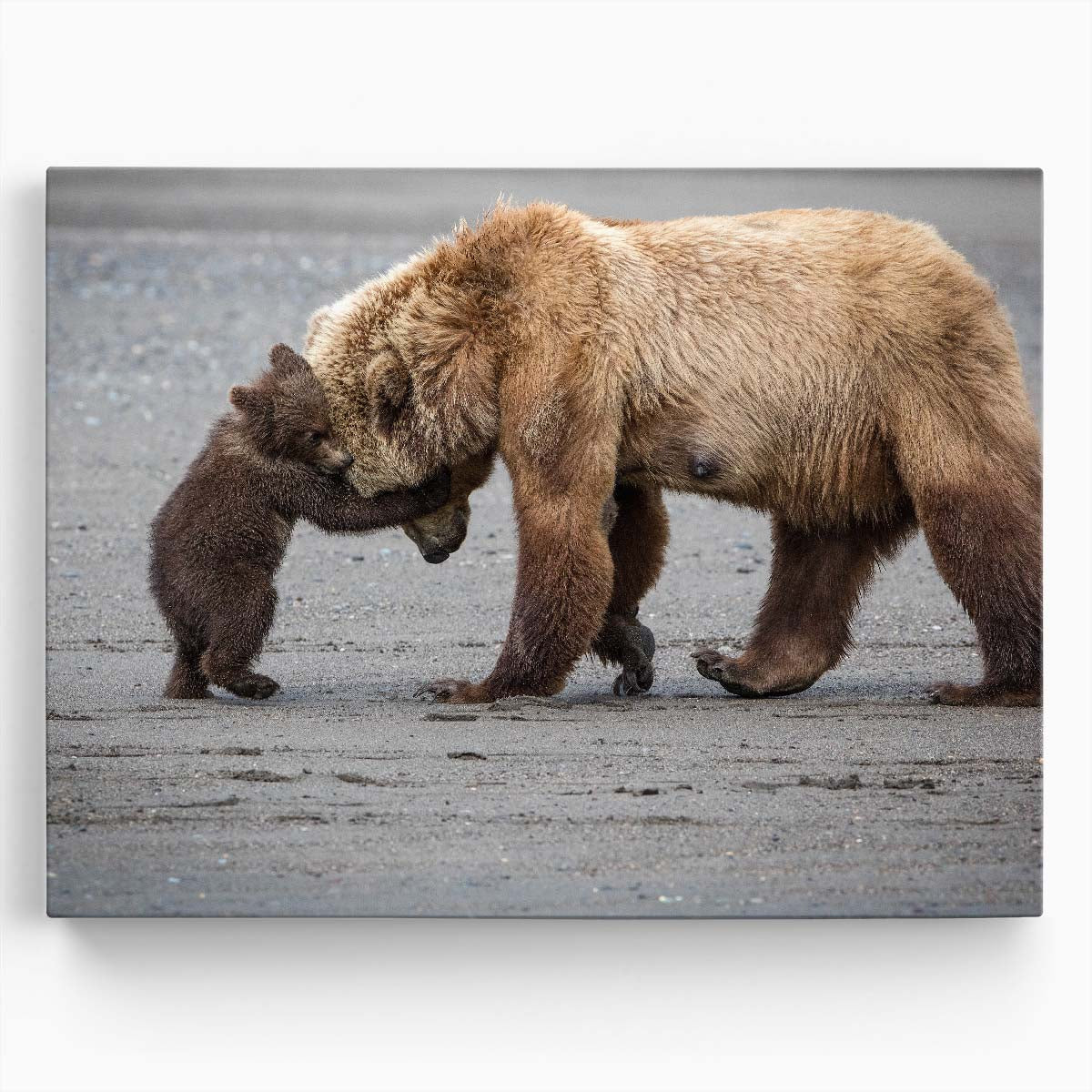 Alaskan Brown Bear Family Embrace Wall Art by Luxuriance Designs. Made in USA.