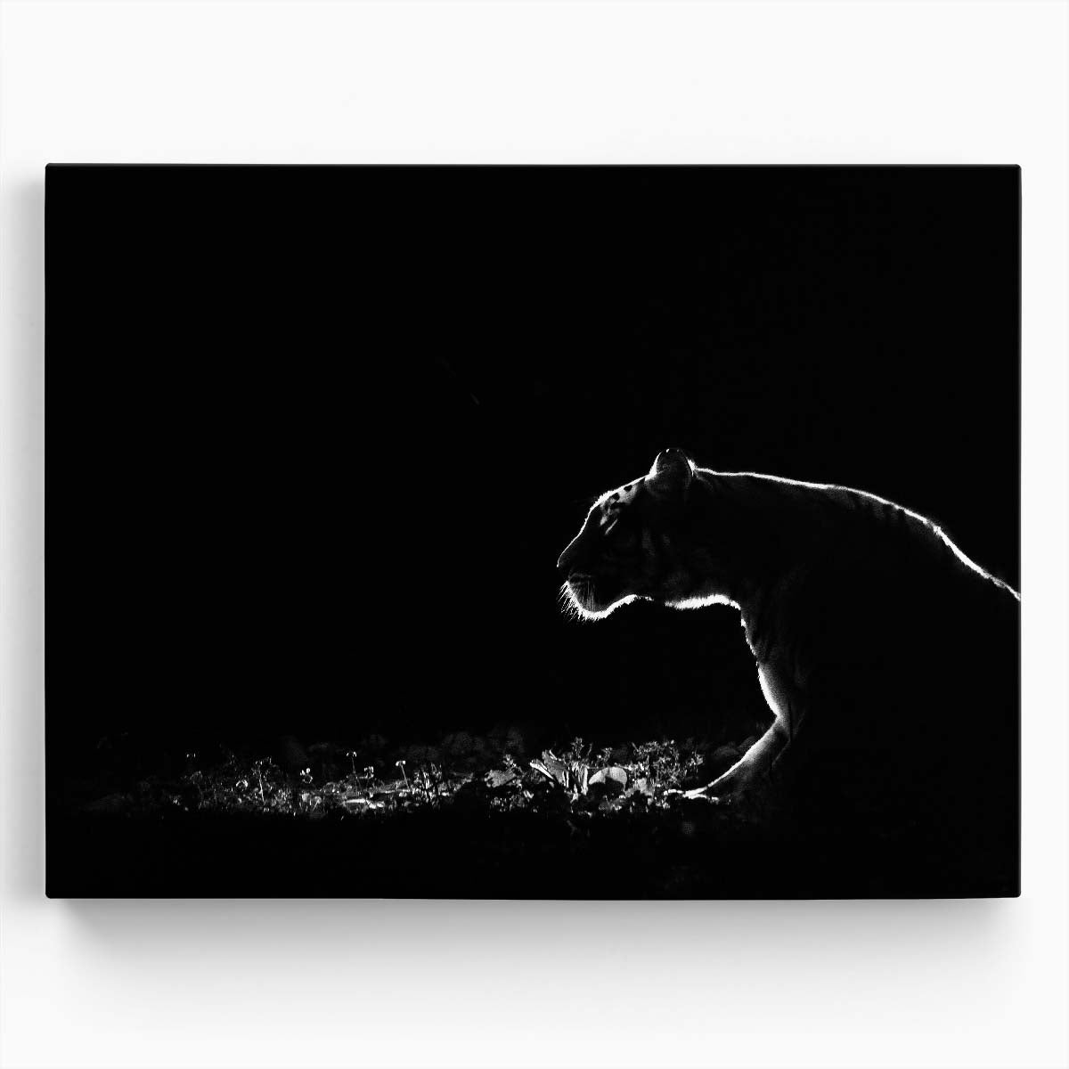 Minimalist Dark Lion Safari Wildlife Wall Art by Luxuriance Designs. Made in USA.