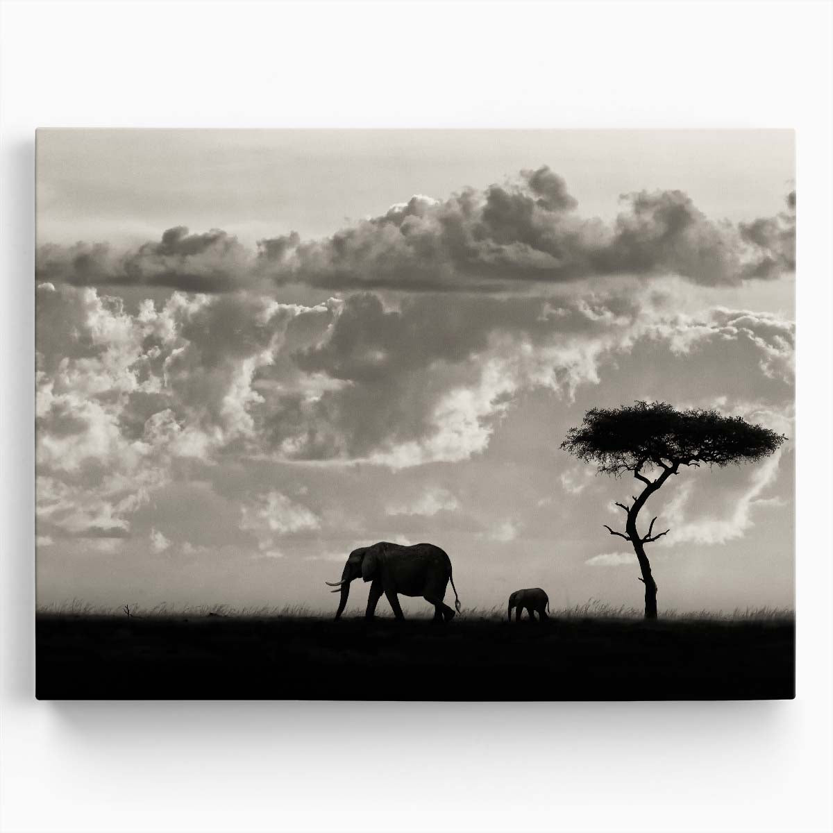 Majestic African Elephant Family Silhouette Wall Art by Luxuriance Designs. Made in USA.