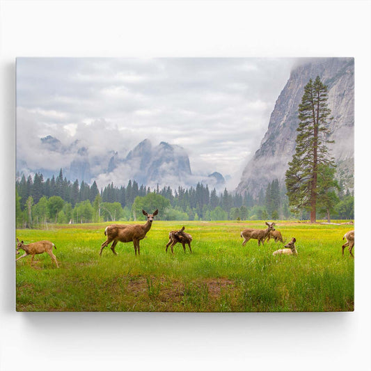 Roe Deer Herd in Yosemite National Park Landscape Wall Art by Luxuriance Designs. Made in USA.