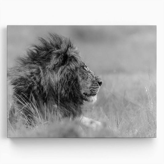 Majestic Solitary Lion in Serene Savannah Wall Art by Luxuriance Designs. Made in USA.
