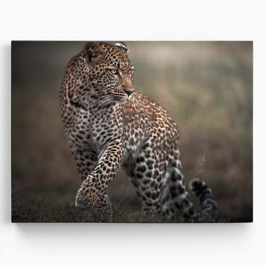 Safari Wildlife Leopard Glance - African Savanna Photography Wall Art by Luxuriance Designs. Made in USA.