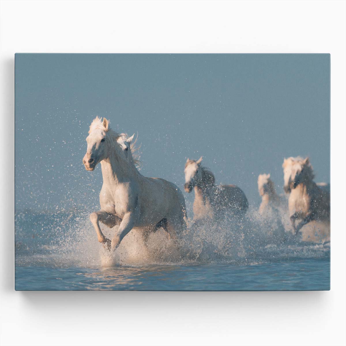 Majestic Camargue Horses in Sunset Sprint Wall Art by Luxuriance Designs. Made in USA.