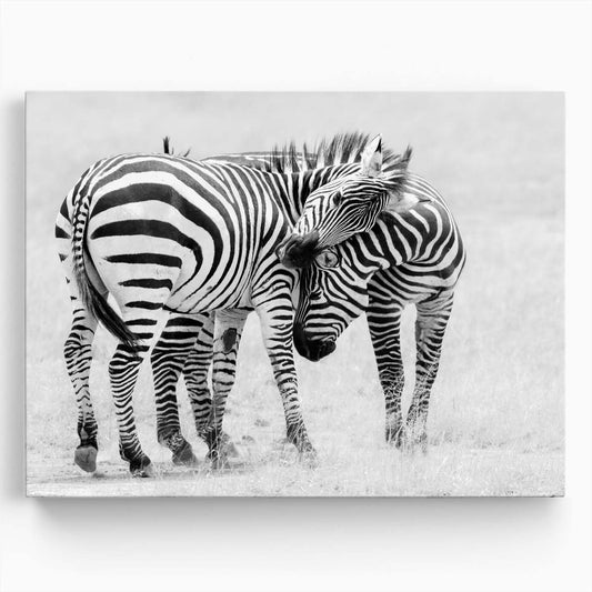 Romantic Zebras Embrace Monochrome Safari Wildlife Photography Wall Art by Luxuriance Designs. Made in USA.