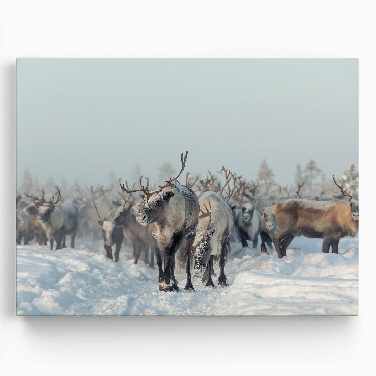 Frosty Winter Reindeer Herd Snowscape Wall Art by Luxuriance Designs. Made in USA.