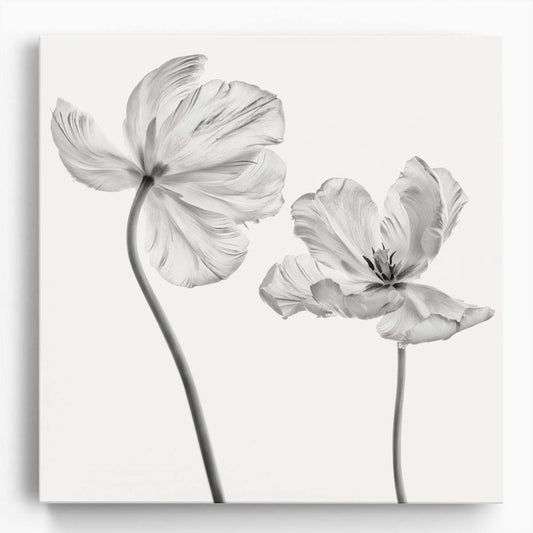 Macro Monochrome Tulip Floral Botanical Photography Wall Art by Luxuriance Designs. Made in USA.
