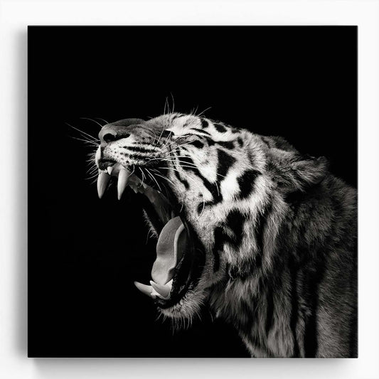Roaring Tiger in Monochrome A Christian Meermann Photography Wall Art by Luxuriance Designs. Made in USA.
