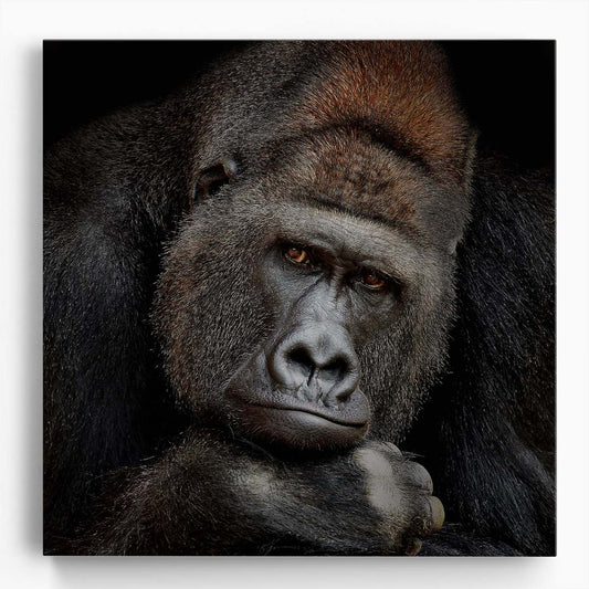 Thoughtful Silverback Gorilla Portrait Majestic Wildlife Photography Wall Art by Luxuriance Designs. Made in USA.