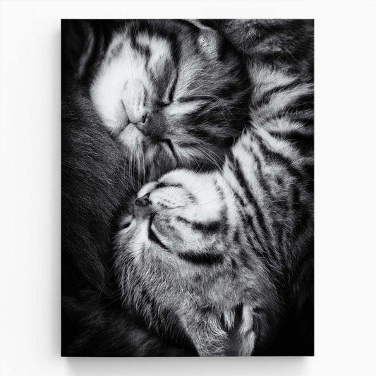 Yin Yang Sleeping Kittens Monochrome Photography Wall Art by Luxuriance Designs, made in USA
