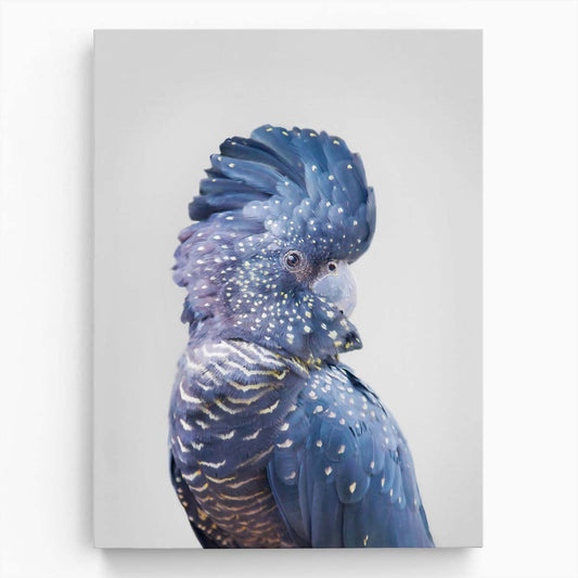 Blue Cockatoo Wildlife Photography Art by Kathrin Pienaar by Luxuriance Designs, made in USA