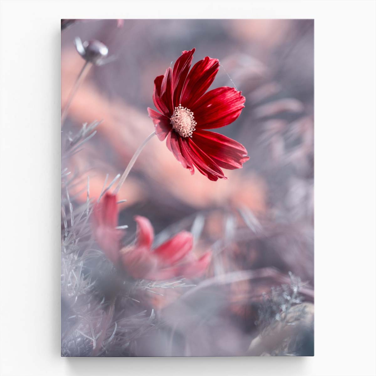 Romantic Red Floral Macro Photography - Passionate Valentine Blossom Art by Luxuriance Designs, made in USA