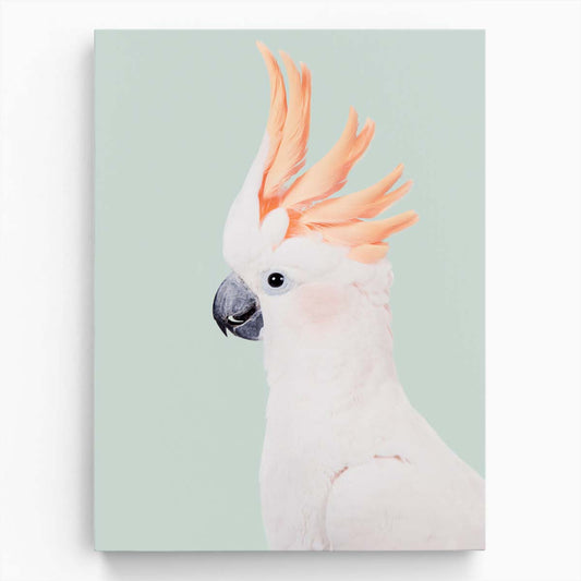 Sulphur-Crested Cockatoo Bird Photography Art by Kathrin Pienaar by Luxuriance Designs, made in USA