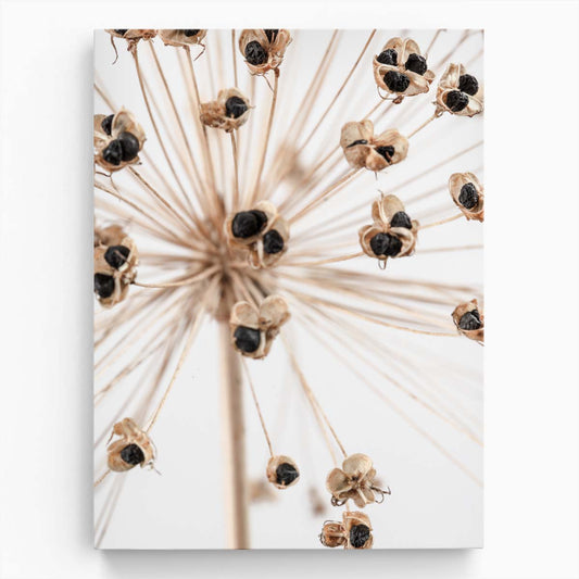 Dried Floral Botanical Photography Beige Flower Still Life Art by Luxuriance Designs, made in USA