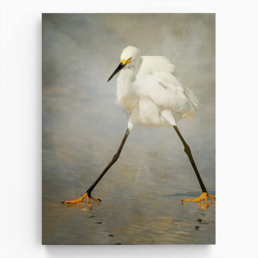 Snowy Egret Bird Photo Wall Art by Luxuriance Designs, made in USA