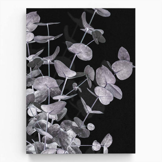 Botanical Eucalyptus Plant Photography on Dark Background by Luxuriance Designs, made in USA