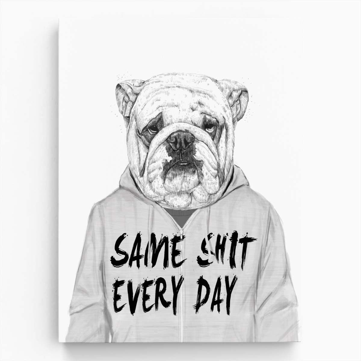 Bulldog in Hoodie Illustrated Wall Art, Monochrome Pet Portrait by Luxuriance Designs, made in USA