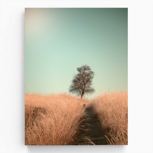 Lonely Tree Path Landscape Photography by Jaap Van Den, Veluwe Netherlands by Luxuriance Designs, made in USA