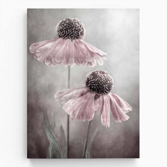 Botanical Floral Photography Pink Helenium Sneezeweed Duo Art by Luxuriance Designs, made in USA