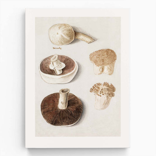 Vintage Botanical Meadow Mushroom Illustration with Gray and Beige Tones by Luxuriance Designs, made in USA