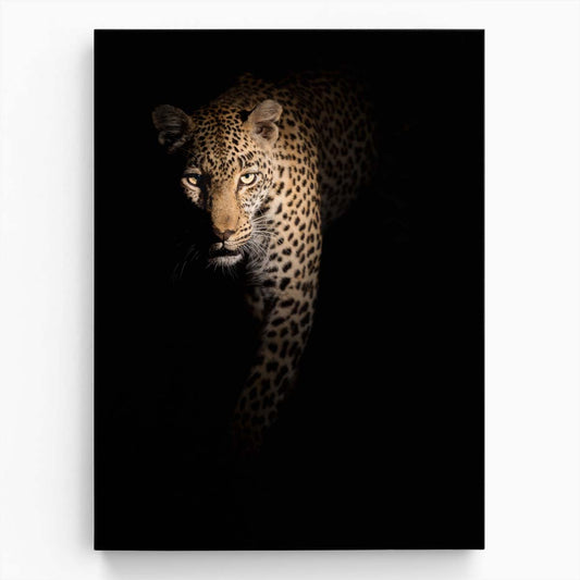 Dark African Leopard Stalking Wildlife Photography Wall Art by Luxuriance Designs, made in USA