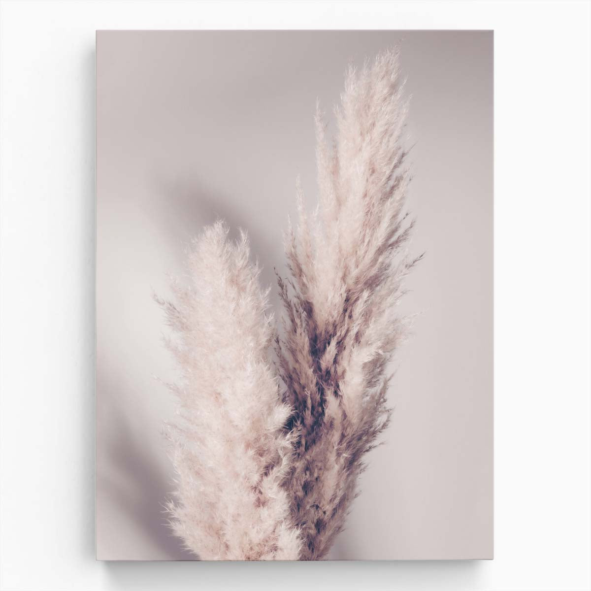 Soft Pampas Grass Beige Botanical Still Life Photography Art by Luxuriance Designs, made in USA