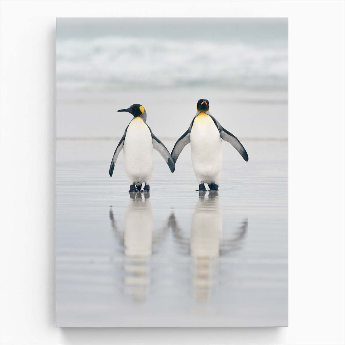 Romantic Penguin Couple Beach Photography, Wildlife Coastal Art by Luxuriance Designs, made in USA