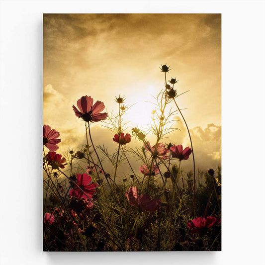 Summer Blooming Pink Flowers in Meadow, Sunset Landscape Photography by Luxuriance Designs, made in USA