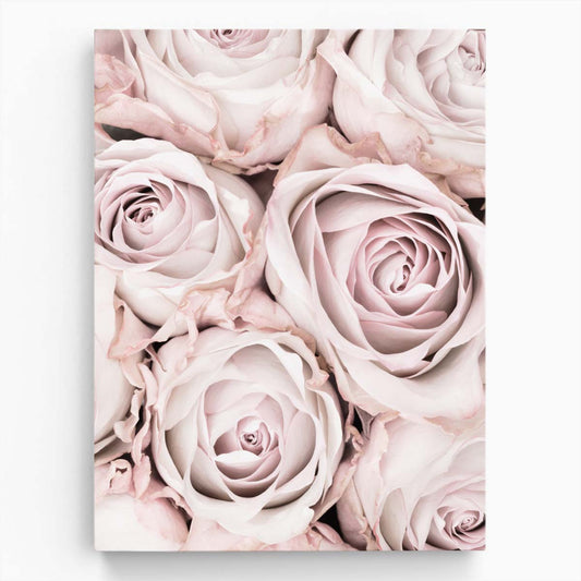 Pastel Pink Rose Macro Photography - Botanical Still Life Art by Luxuriance Designs, made in USA