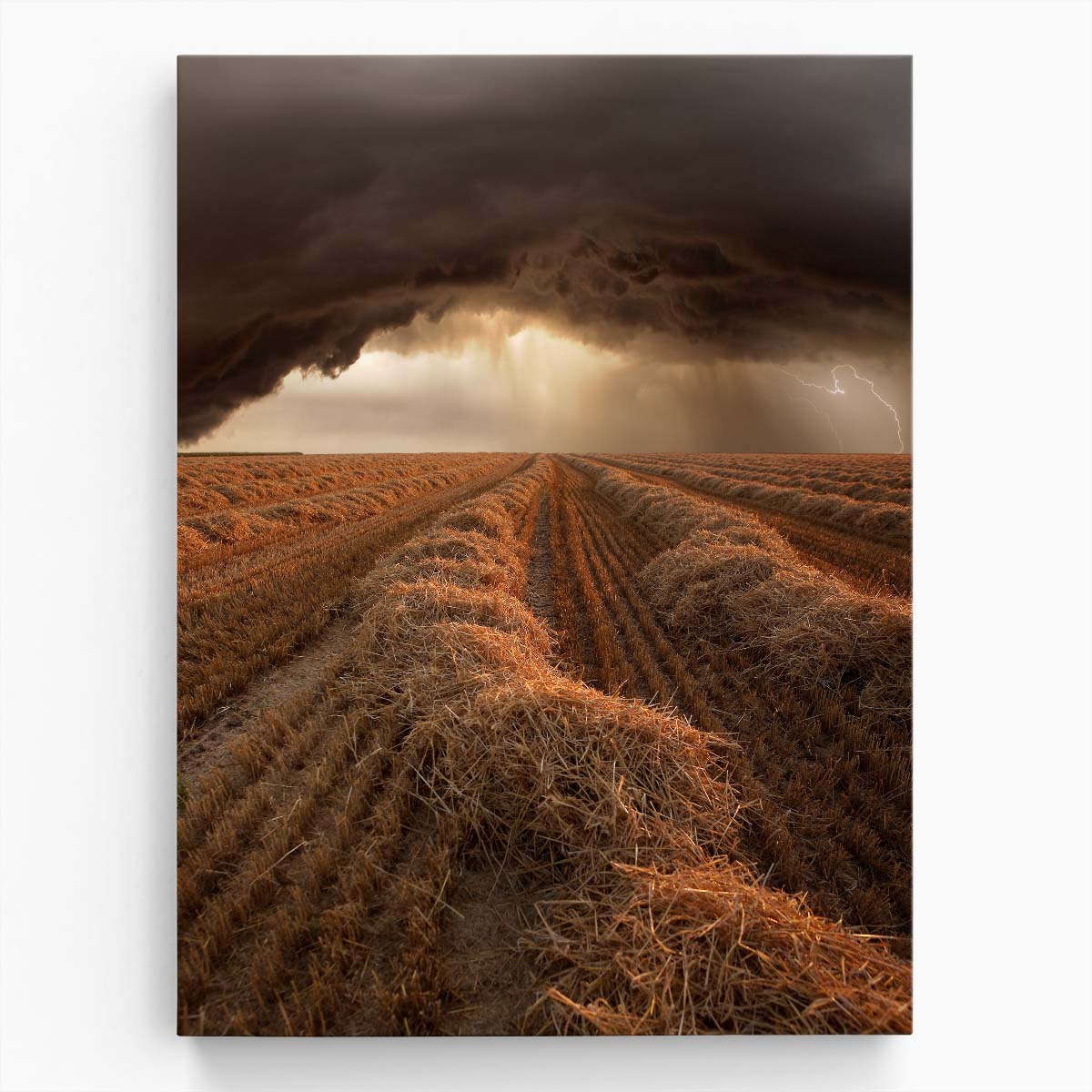 Rural Fields Thunderstorm Photography by Nicolas Schumacher by Luxuriance Designs, made in USA
