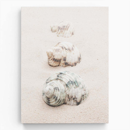 Coastal Beach Macro Photography Soft Seashell Trio on Sand by Luxuriance Designs, made in USA