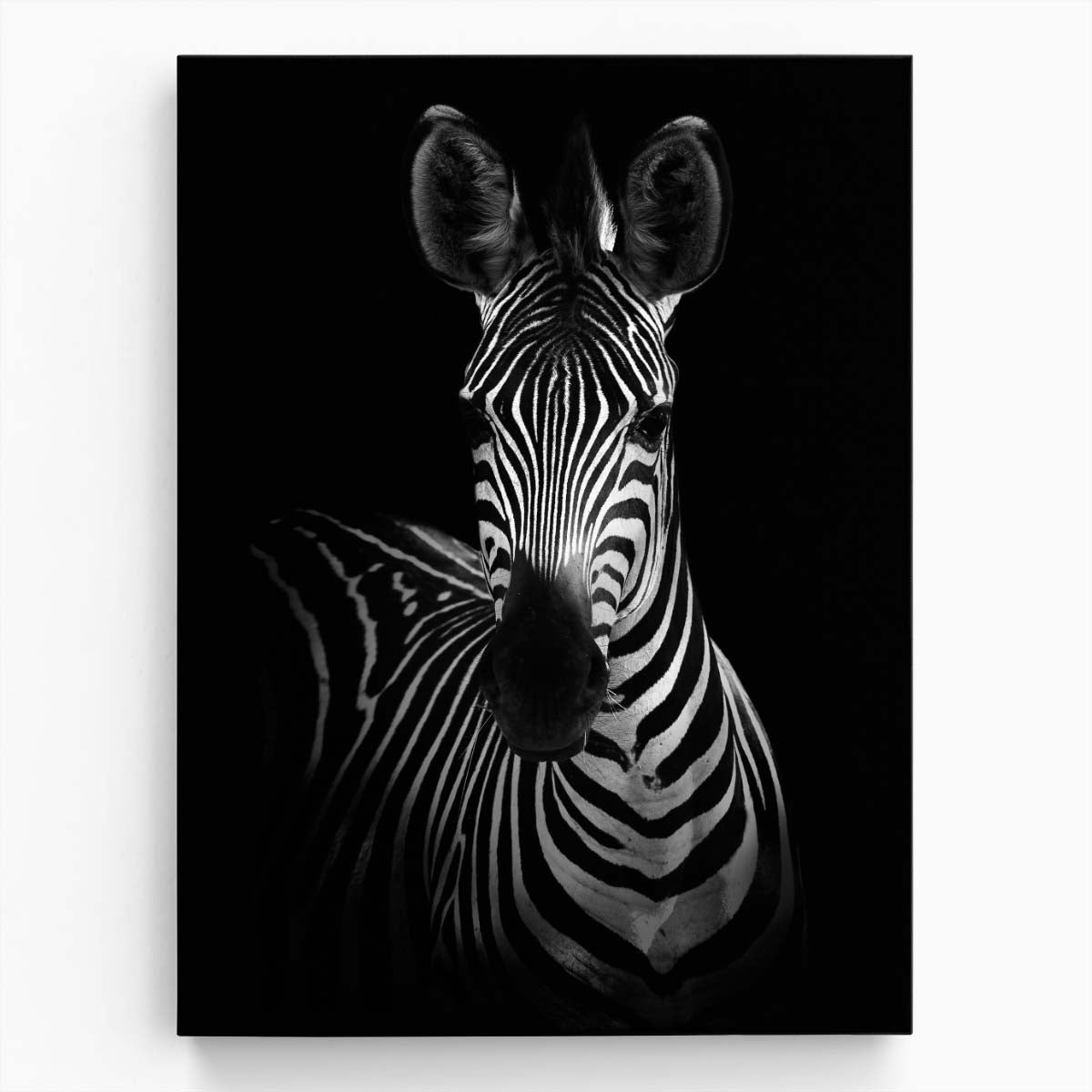 Monochrome Zebra Portrait - African Wildlife Photography Artwork by Luxuriance Designs, made in USA