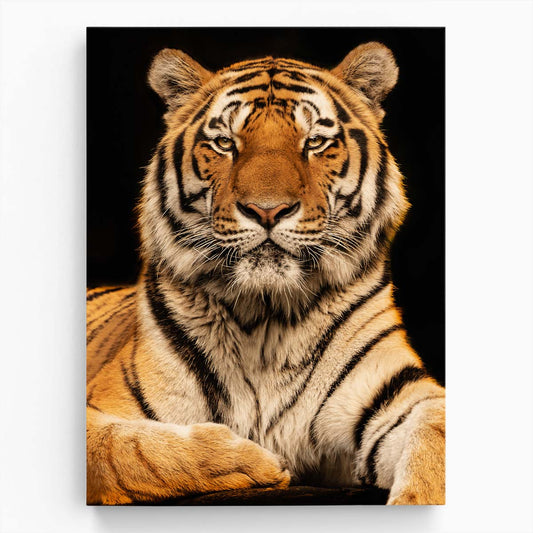 Jorg Zimmermann's African Tiger Portrait Photography on Dark Background by Luxuriance Designs, made in USA