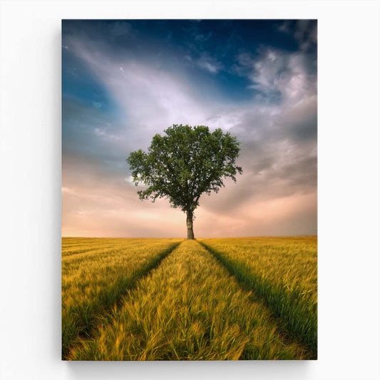 Lonely Tree in Summer Countryside Landscape Photography by Luxuriance Designs, made in USA