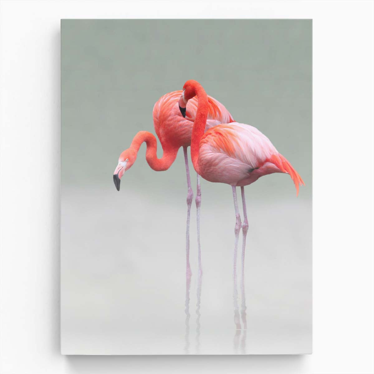 Romantic Flamingo Couple Wildlife Photography in Red Nature by Luxuriance Designs, made in USA