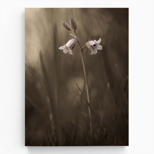 Delicate White Flower Macro Photography in Gentle Sepia Tones by Luxuriance Designs, made in USA