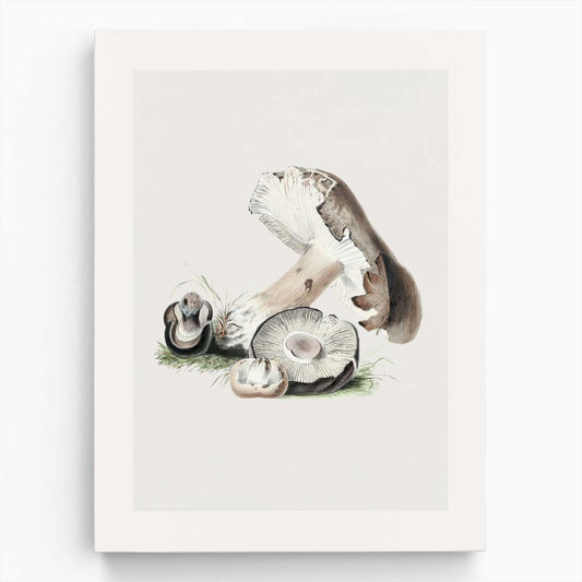 Vintage Agaricus Augustus Mushroom Illustration Wall Art by Luxuriance Designs, made in USA