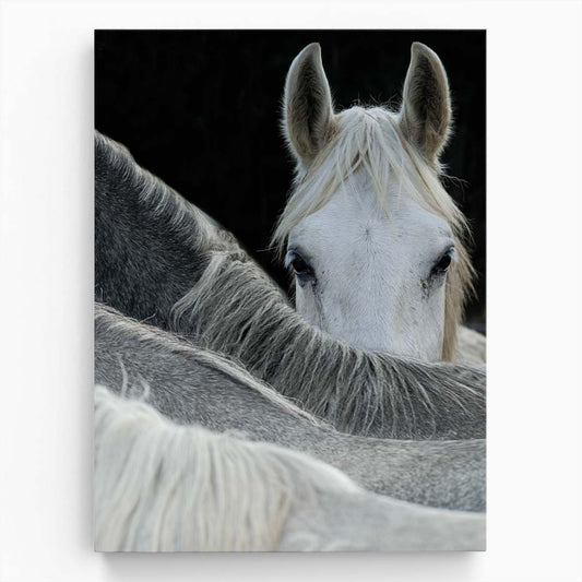 Abstract Equestrian Photography White Horses Watching by Milan Malovrh by Luxuriance Designs, made in USA