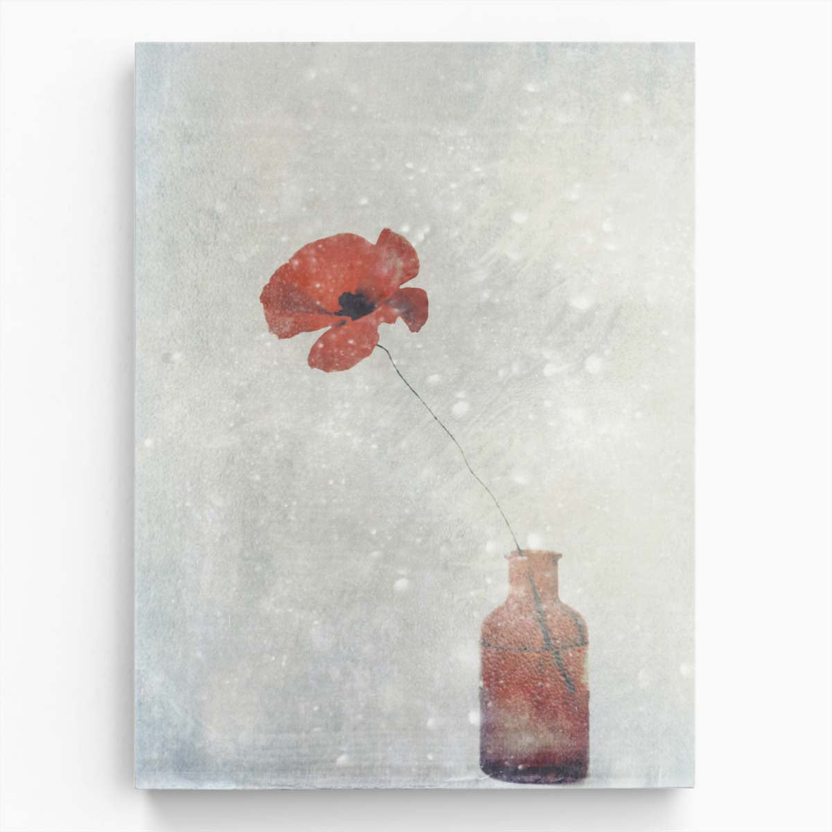 Winter Poppy Photography Snowy Red Poppies in Frozen Bottles by Luxuriance Designs, made in USA