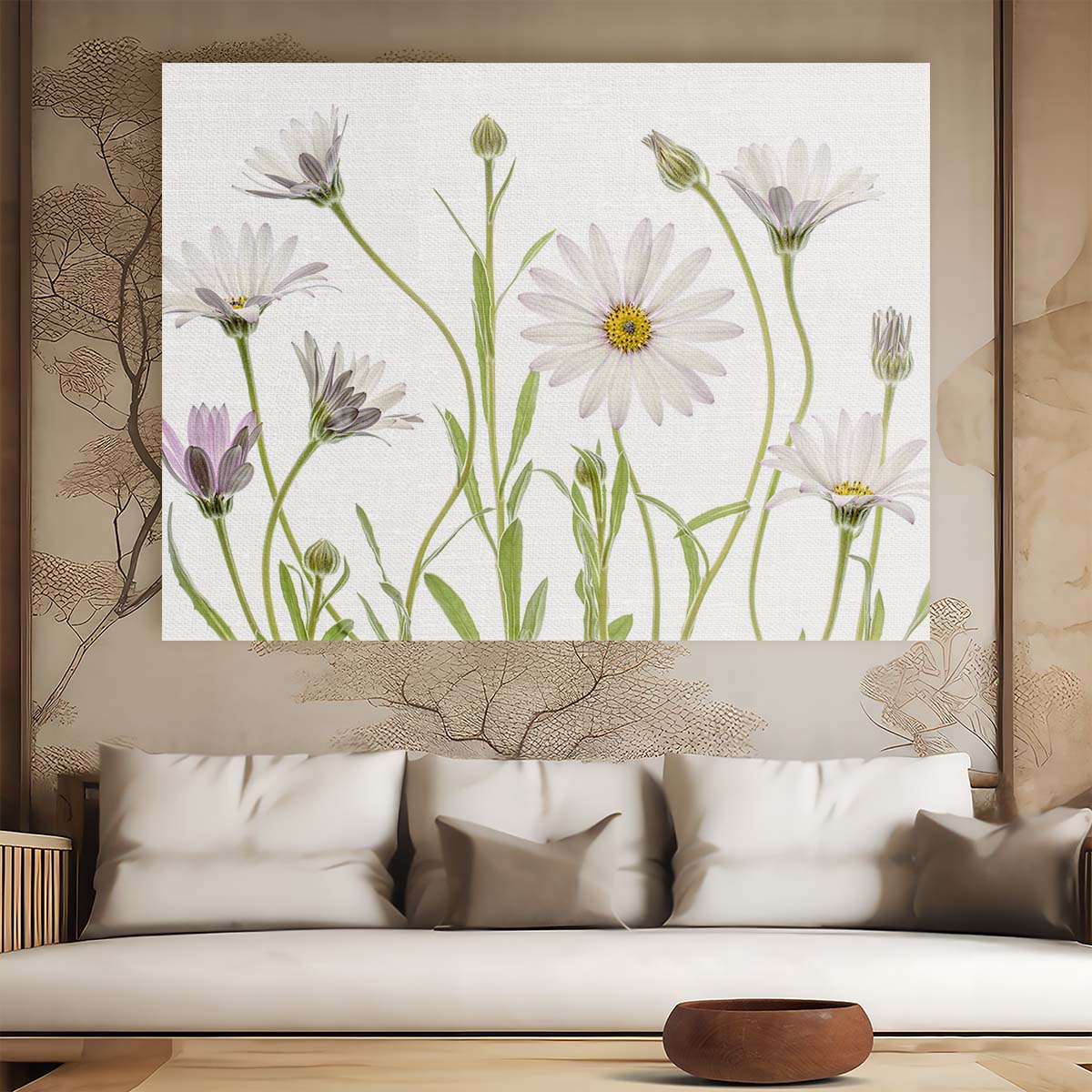 Summer Osteospermum Botanical Daisy Photography Wall Art