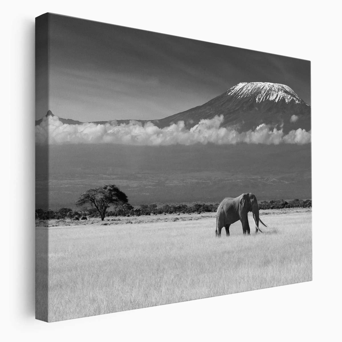 Majestic African Elephant & Kilimanjaro Wall Art by Luxuriance Designs. Made in USA.