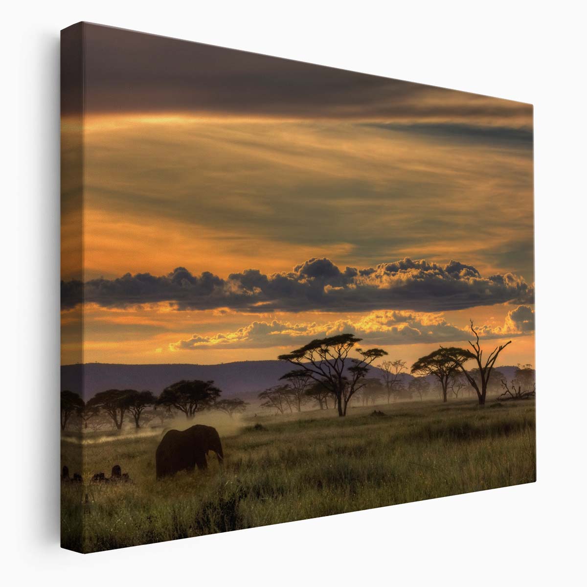 Serengeti Sunset Elephant Safari Wildlife Photography Wall Art