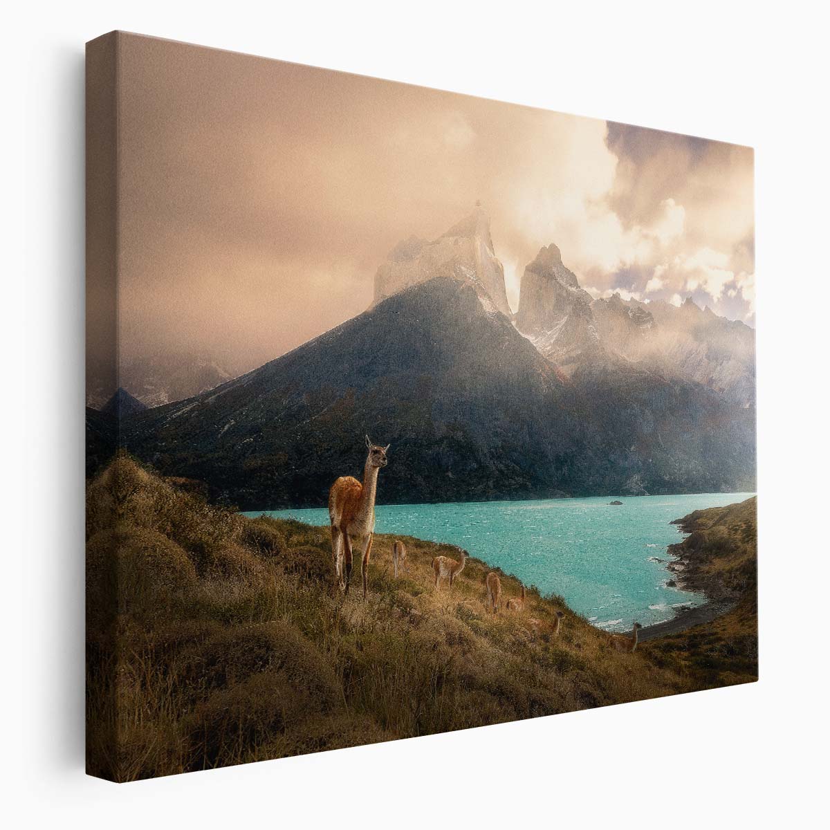 Torres del Paine Alpaca & Mountain Lake Wall Art by Luxuriance Designs. Made in USA.
