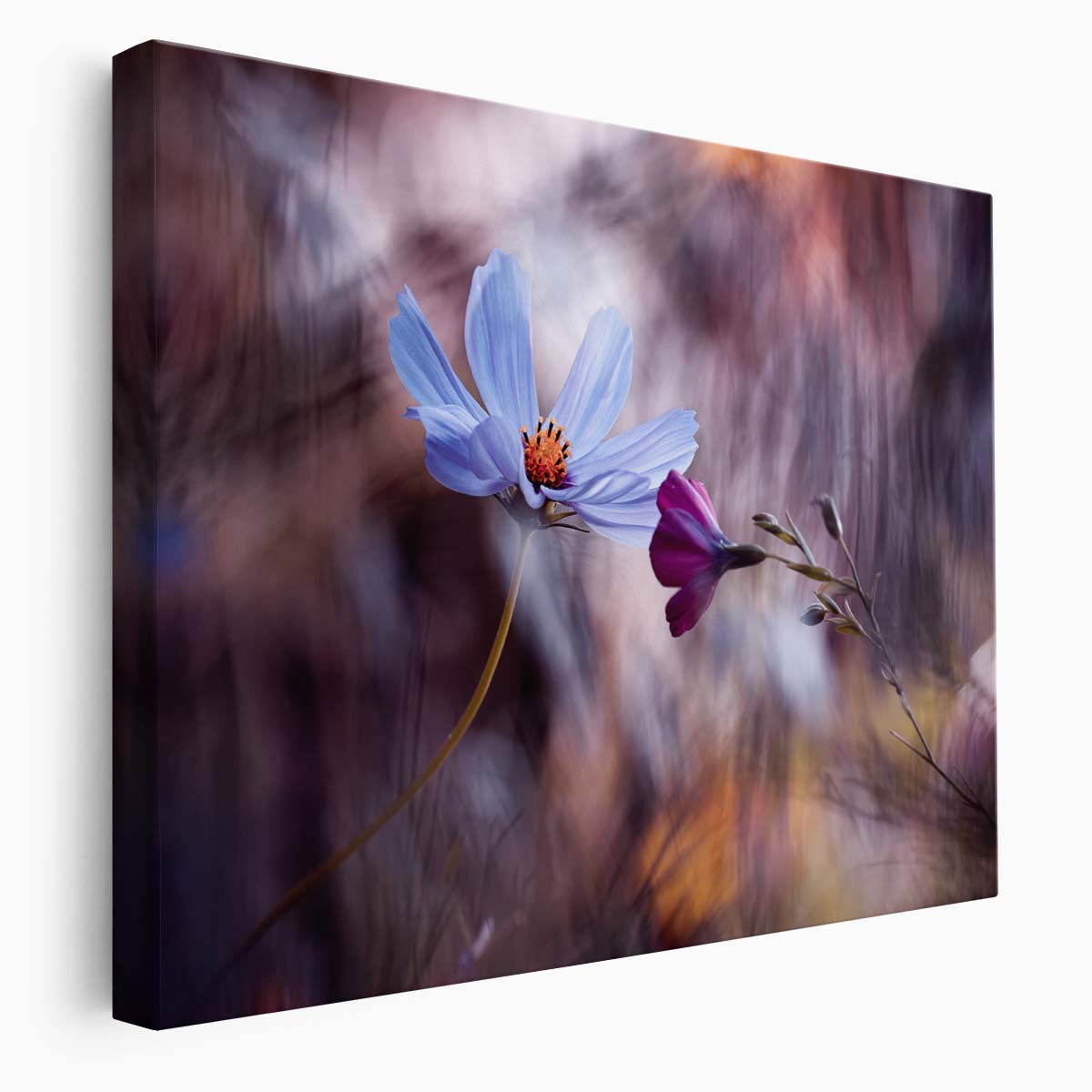 Romantic Cosmos Duo in Love Macro Wall Art by Luxuriance Designs. Made in USA.