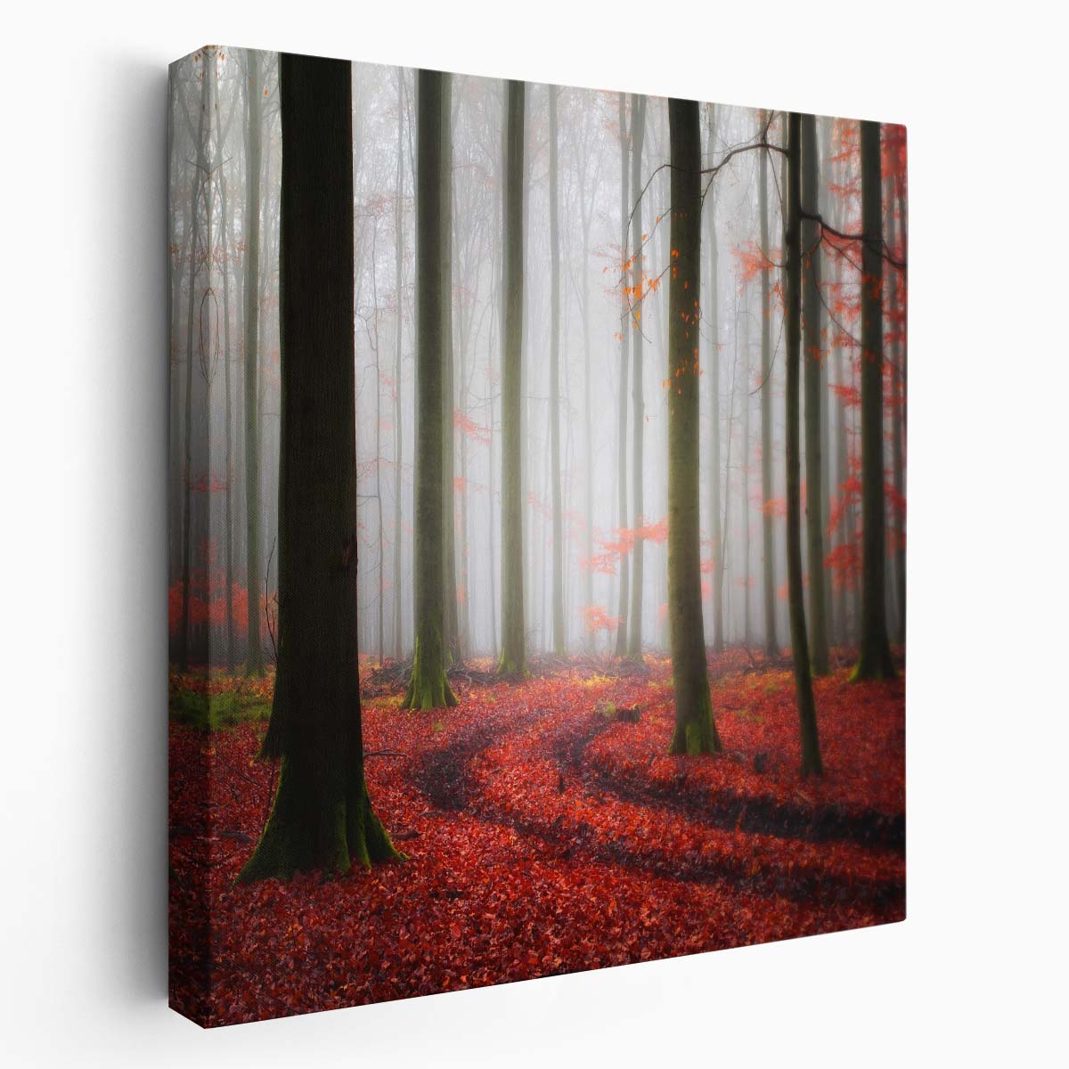 FogEnshrouded Red Autumn Forest Trail Landscape Photography Wall Art by Luxuriance Designs. Made in USA.