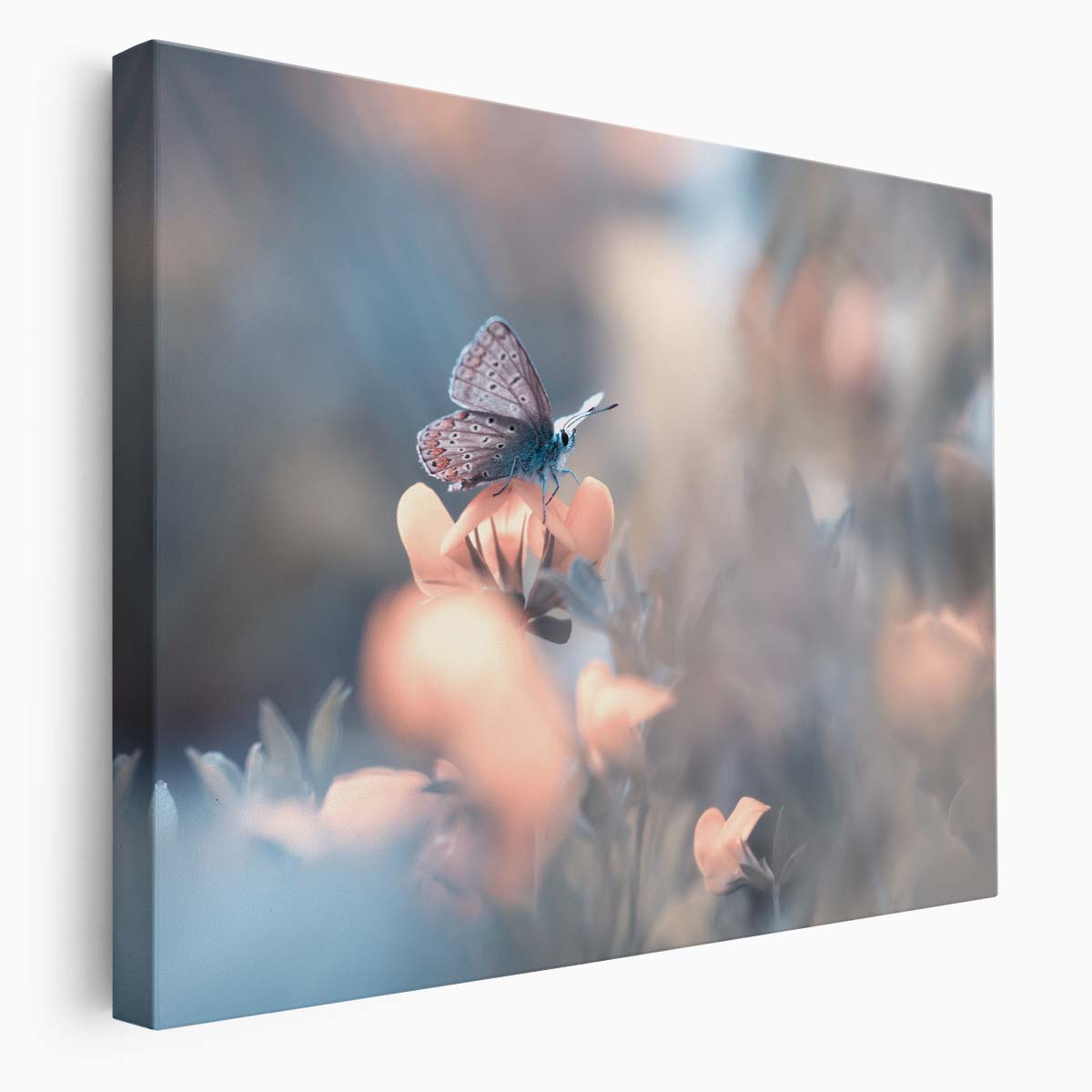 Macro Butterfly & Floral Garden Pastel Wall Art by Luxuriance Designs. Made in USA.