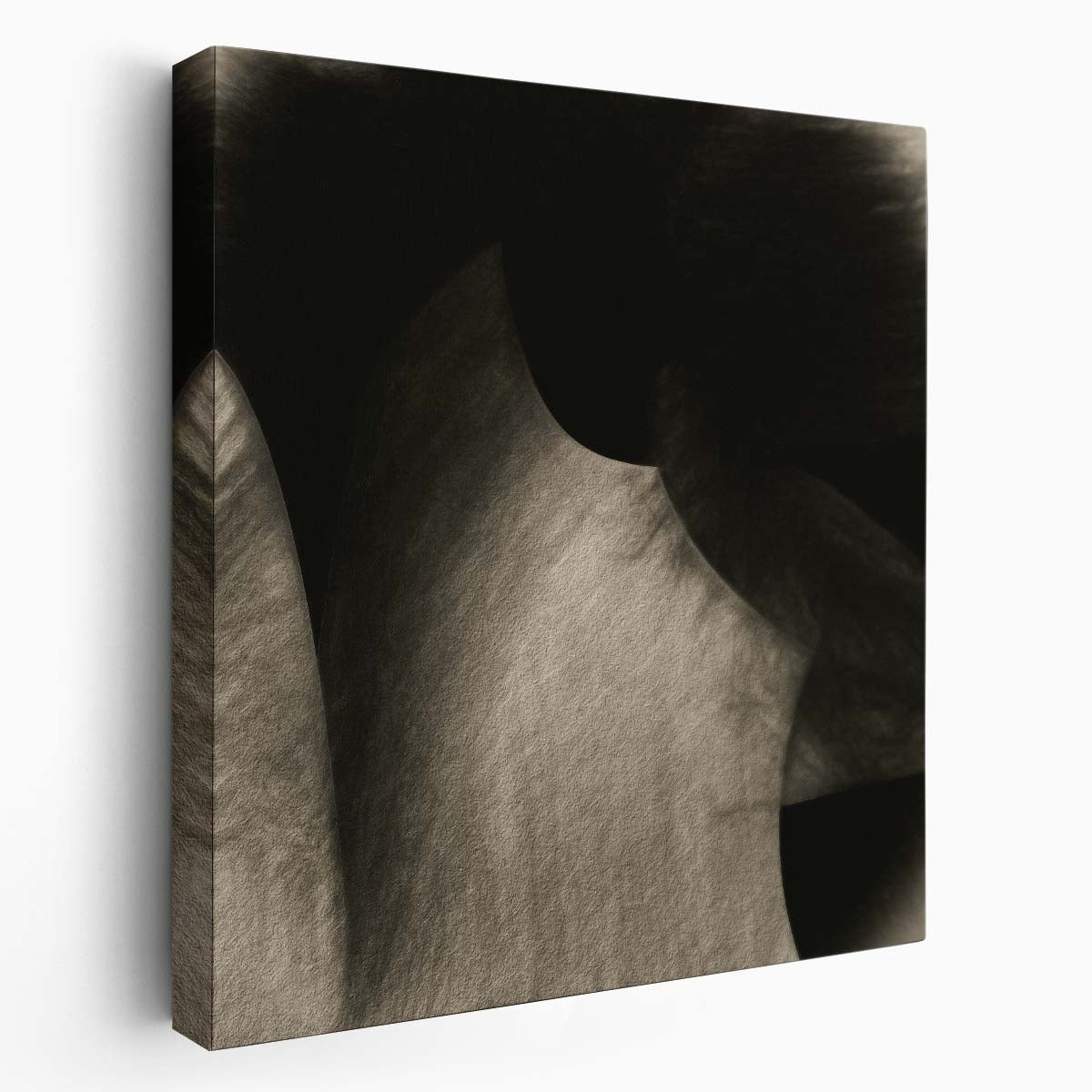 Abstract Black Ink Rock Artistry Photography Wall Art by Luxuriance Designs. Made in USA.