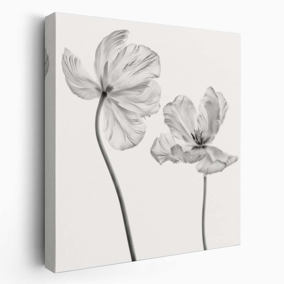 Macro Monochrome Tulip Floral Botanical Photography Wall Art by Luxuriance Designs. Made in USA.